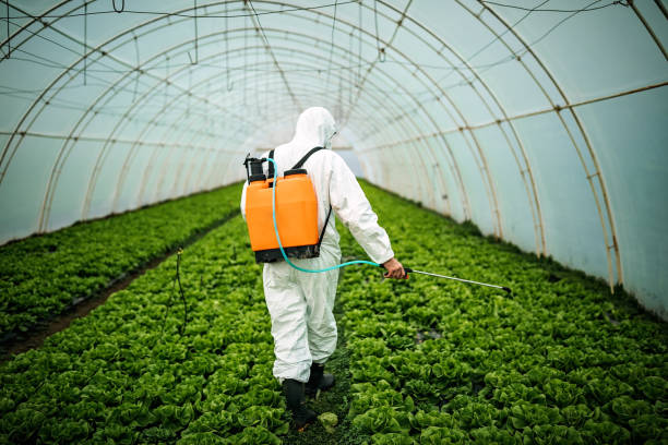 Reliable Marion, OH Pest Control Solutions
