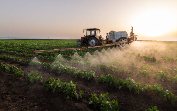Best Pest Prevention Services  in Marion, OH