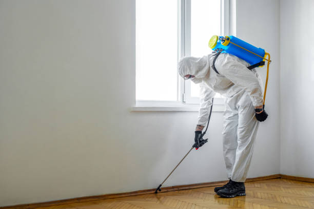 Best Emergency Pest Control  in Marion, OH