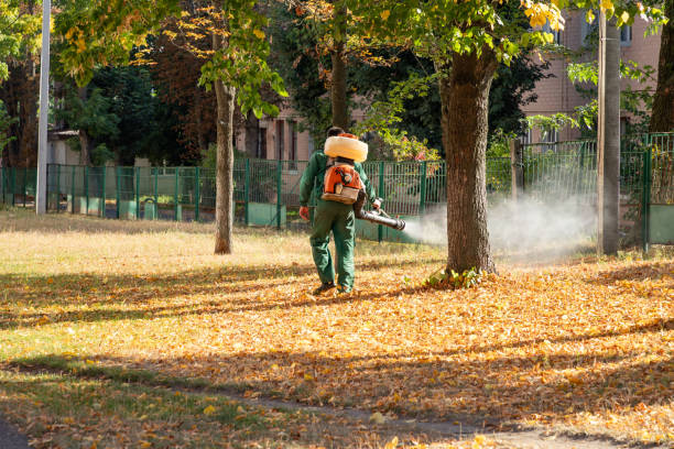 Best Pest Inspection Near Me  in Marion, OH