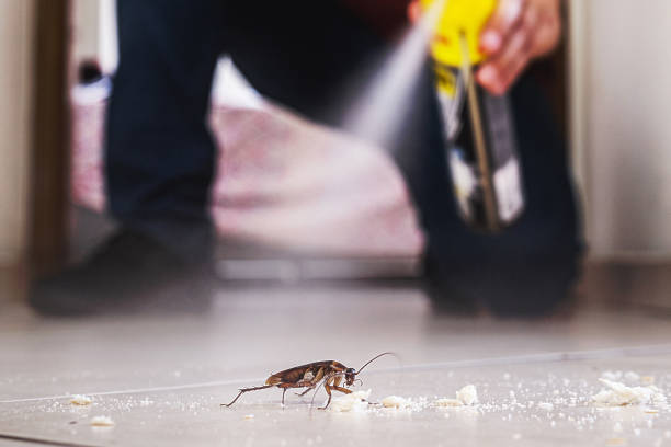 Wasp Removal Services in Marion, OH